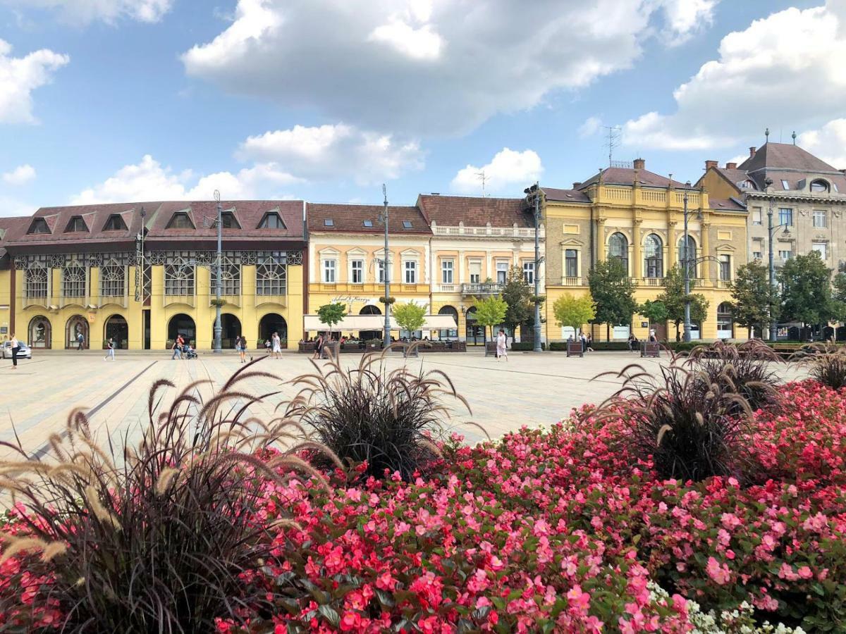 M37 Apartman Debrecen Esterno foto
